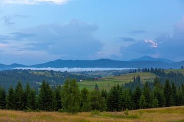 Summer nature landscape of Karpaty Mountains.