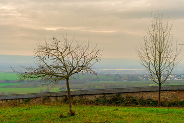 Kloster Eberbach in Eltville am Rhein in Deutschland, im Herbst