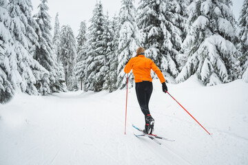 Langläufer von hinten mit orangener Jacke auf der Loipe im Winter