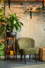 Fototapeta na wymiar Many house plants in a vintage inspired interior with a concrete wall and green with yellow accents. Warm tones create a cosy eclectic vintage styked home