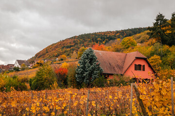 Rustic little town during autumn