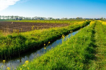 Spring nature landscape in Betuwe, Gelderland, Netherlands