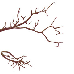 Background for postcards and graphic works. A branch on a white background. Background, banner, space for text.