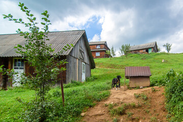 Beautiful summer landscape of village among Karpaty mountains