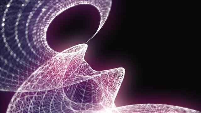 Loop of the seamless purple curve in the 3d space.