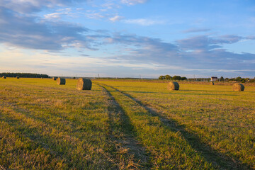 Obraz premium beautiful sunset over the field 