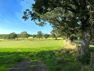 Rural landscape, with open fields, trees, and a blue sky in, Ripley, Harrogate, UK