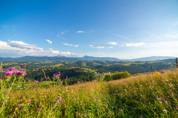 Beautiful summer landscape of village among Karpaty mountains