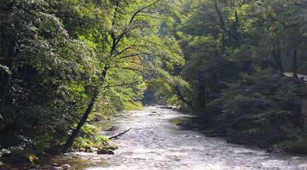 Fototapeta premium Cerna river landscape