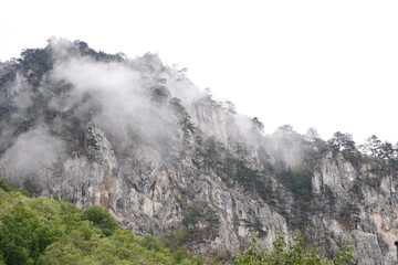 domogled mountain landscape