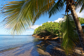Fototapeta na wymiar The picturesque Caribbean beach , Martinique island, French West Indies.