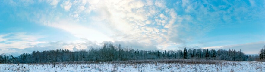 Panorama of winter forest and blue beautiful sky