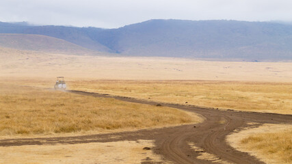 Dirt road on Ngorongoro crater, Tanzania landscape