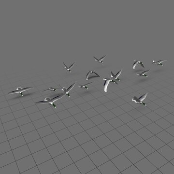 Flock of ducks in flight 5