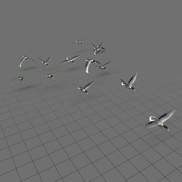 Flock of ducks in flight 6