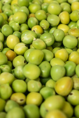 Close up of many green vetches in a pot 