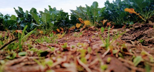 Naturaleza y el hombre