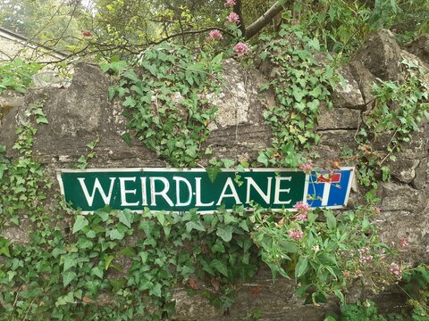 The Weirdest of Signs