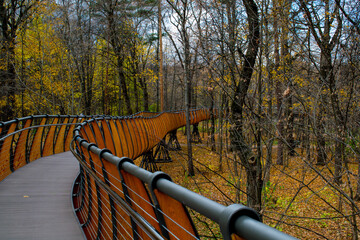 wooden bridge in autumn park