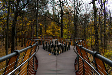 wooden bridge in autumn park
