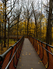 wooden bridge in autumn park