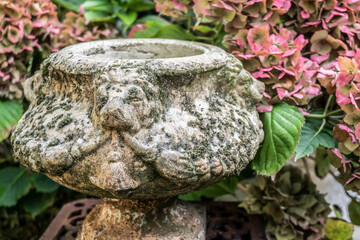 Vintage mossy stone vase in a summer garden against a background of hydrangea flowers, selective focus. Romantic garden decor in Provence style.