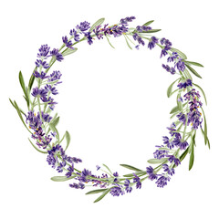 Lavender flowers isolated on white background. Watercolor botanical illustration