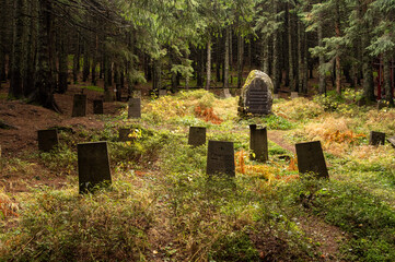 An old military cemetery in the forest. World War I. Headstones.