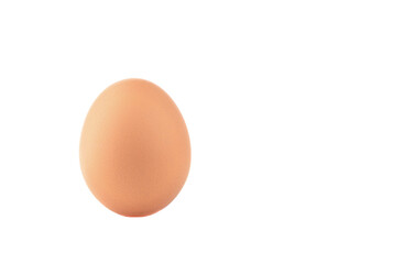 One chicken egg isolated on white background with place for text.