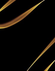 Gold Strands Swooping on a Black Background. Gold lines of light drape across they wallpaper background image.