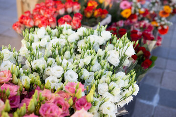 Street flower shop with colourful flowers