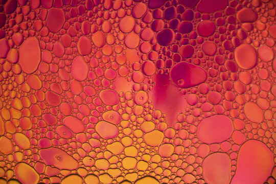 Purple and Orange Oil and Water Abstract Photo. Different sized circles of purple, orange and maroon.