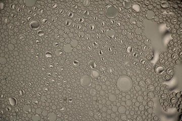 Black and White Oil and Water Abstract Photo. Different sized circles of black, white and grey.