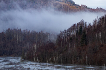 misty landscape with fir forest in hipster vintage retro style