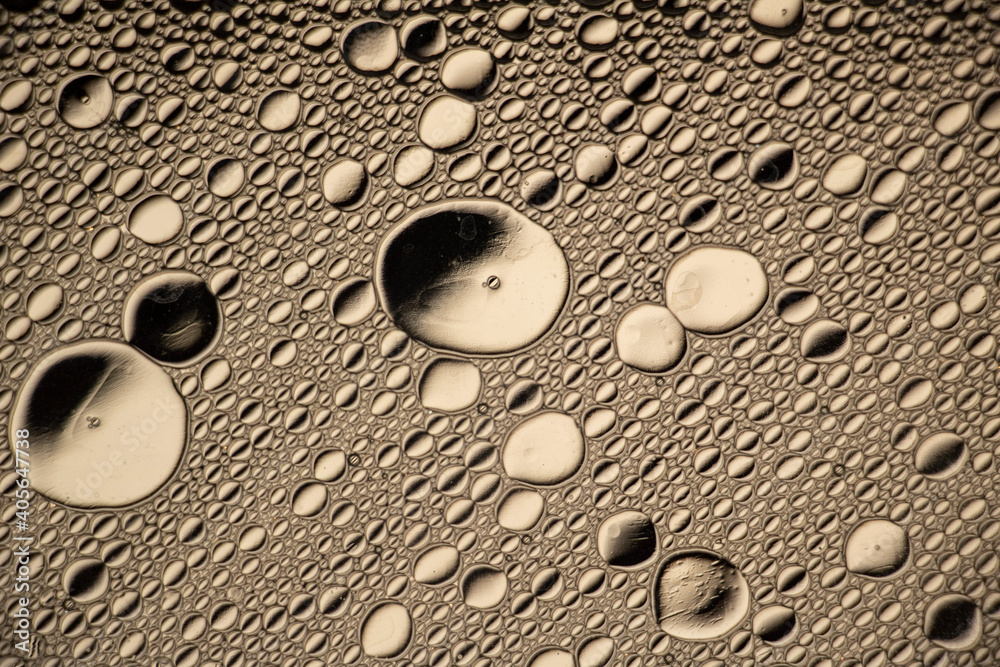 Wall mural black and white oil and water abstract photo. different sized circles of black, white and grey.