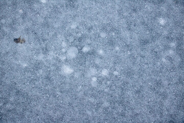 Abstract Formation Formed from Refreezing Water on a Pond. Otherworldly images from the ice.