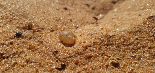 sand