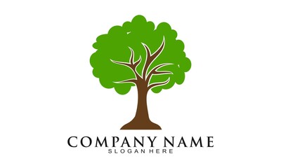 Tree illustration vector icon