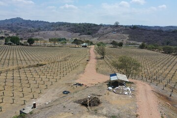 Aerial view flying over a small dirt road of a farm r