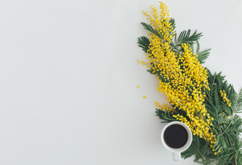 Coffe with yellow mimosa flower on white background. Minimal flat lay