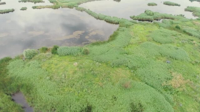 Aerial view of Delta Vacaresti