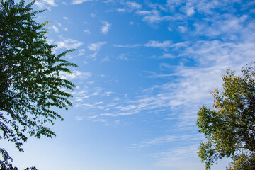 open blue sky with white clouds and trees on side
