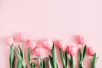 Fototapeta Beautiful composition spring flowers. Bouquet of pink tulips flowers on pastel pink background. Valentine's Day, Easter, Birthday, Happy Women's Day, Mother's Day. Flat lay, top view, copy space obraz
