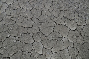Texture of the dried earth with clay and sand, close-up. Dry cracked earth background, clay desert texture.