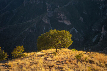 autumn in the mountains