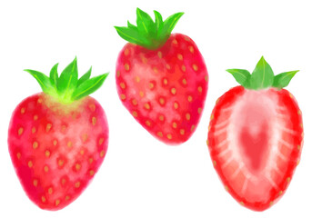 水彩イチゴのリアルイラスト素材