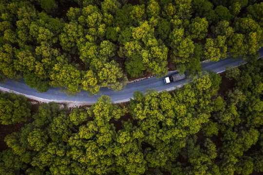 Aerial view of road trough woods, Coin, Malaga, Spain