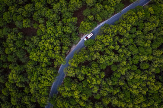 Aerial view of road trough woods, Coin, Malaga, Spain