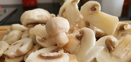 mushroom