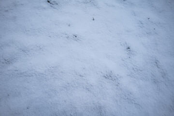 snow texture